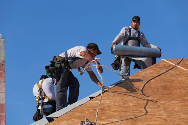 Best New Roof Installation  in Springerville, AZ