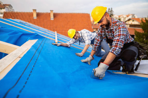 Best Roof Gutter Cleaning  in Springerville, AZ
