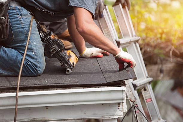 Best New Roof Installation  in Springerville, AZ