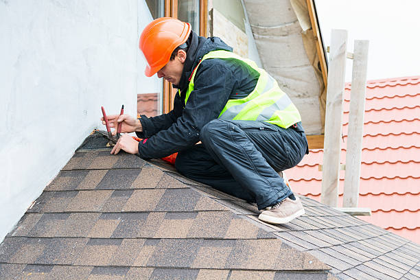 Best Commercial Roofing Services  in Springerville, AZ