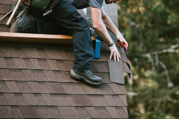 Best Best Roofing Contractors  in Springerville, AZ